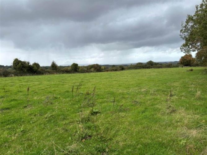 Photo 3 of 14 — 35.3 Acres (, 14.28 Ha) To Let, Gurteenakilla, Newtown, Nenagh, Tipperary