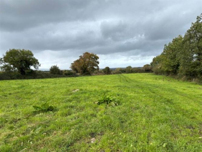 Photo 2 of 14 — 35.3 Acres (, 14.28 Ha) To Let, Gurteenakilla, Newtown, Nenagh, Tipperary