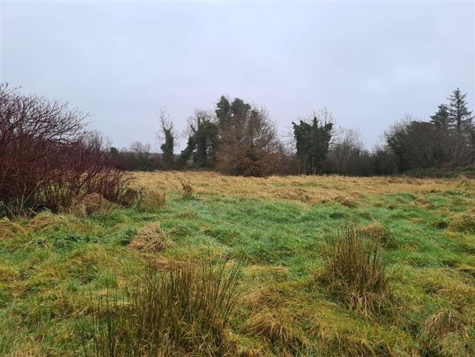 Clooncolligan, Bornacoola, Carrick-On-Shannon, Leitrim