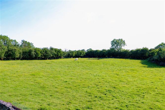 Residence On Approx. 4.67 Acres, Ganty, Craughwell, Co. Galway