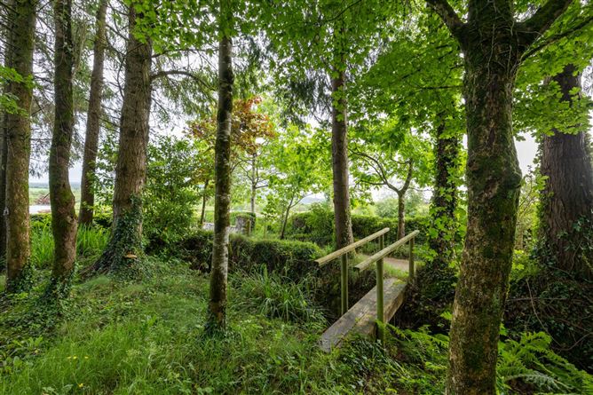 Photo 10 of 18 — Tirnwannagh, Bawnboy, County Cavan