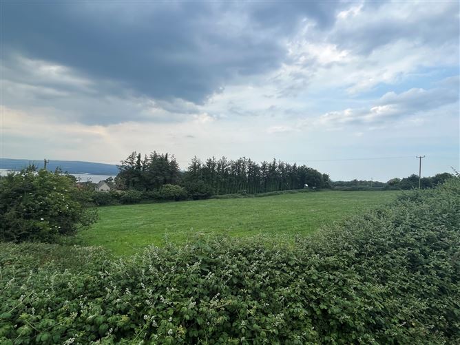 Lackaroe/ Coronode, Portroe, Nenagh, Co. Tipperary