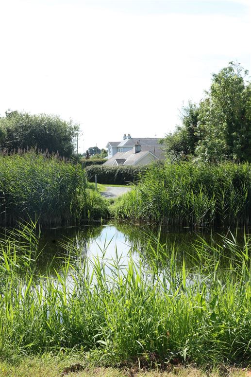 323 Castlerheban,, Athy, Kildare