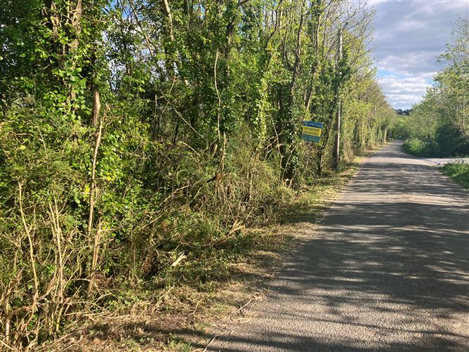 Dromroe Commons, Mallow, Cork