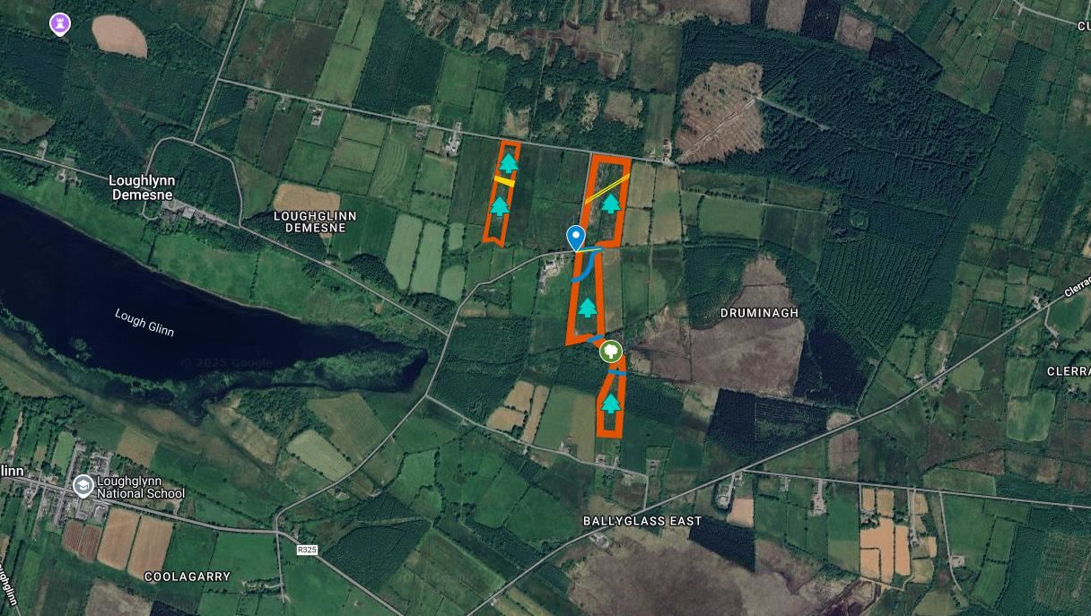 Loughglynn Demense and Druminagh, Loughglynn, Roscommon