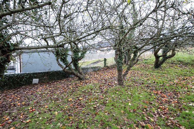 41 Fairview, Graiguenamanagh, Kilkenny