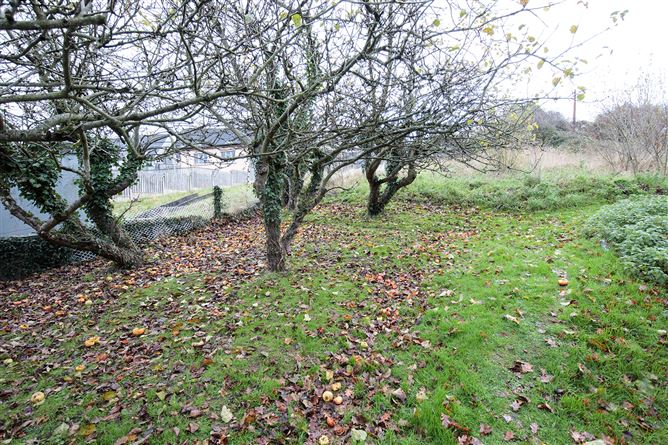 41 Fairview, Graiguenamanagh, Kilkenny