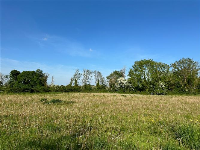 Sheafield, Gowran, Co. Kilkenny