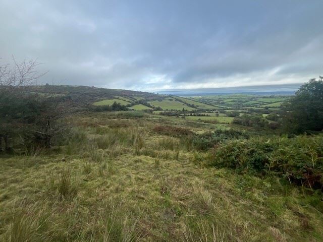 Bollingbrook, Dolla, Nenagh, Co. Tipperary