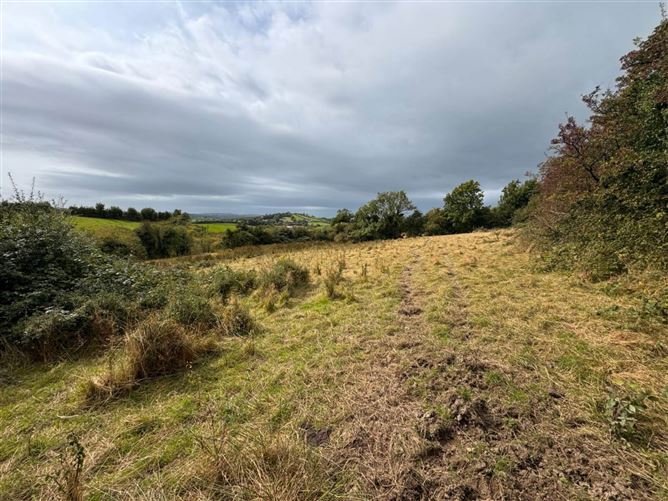 16 Acres @, Corleckduff, Shercock, County Cavan