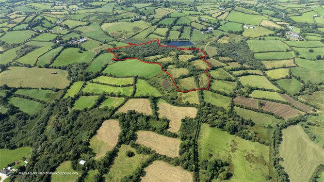 16 Acres @, Corleckduff, Shercock, County Cavan