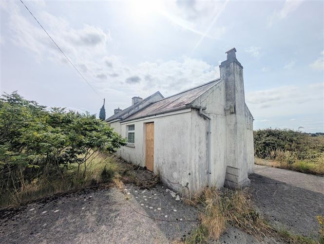Photo 10 of 12 — Clash, Toomevara, Nenagh, Tipperary