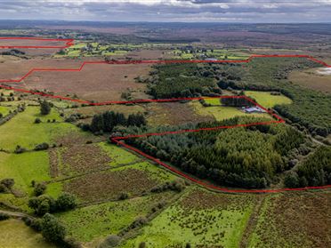 CIRCA 160-ACRE LANDHOLDING AT CLONTARSNA, Castlerea, Roscommon