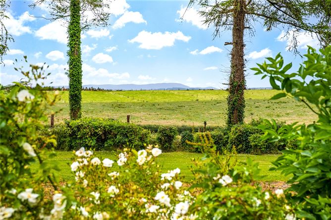 Carrigahorig, Terryglass, Co. Tipperary