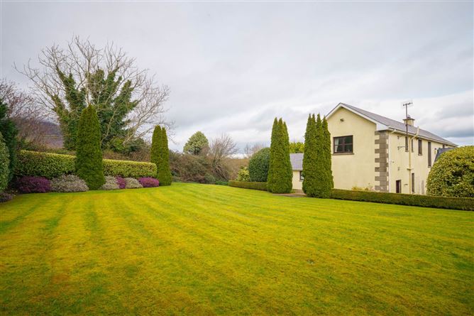 Moneymore, Carlingford, County Louth