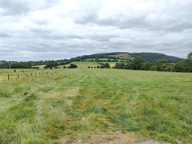 Main image for Carrigeen Prime C. 17 Acre( 6.88Ha), Baltinglass, Wicklow