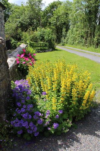 Cornagillagh, Dromod, Carrick-On-Shannon, Leitrim