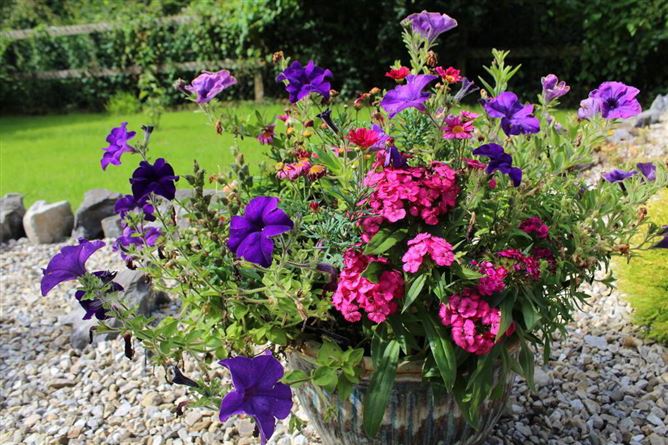 Cornagillagh, Dromod, Carrick-On-Shannon, Leitrim