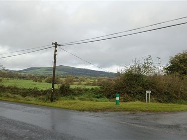 Image for Killalesh Lower, C.15 Acres, Baltinglass, Wicklow