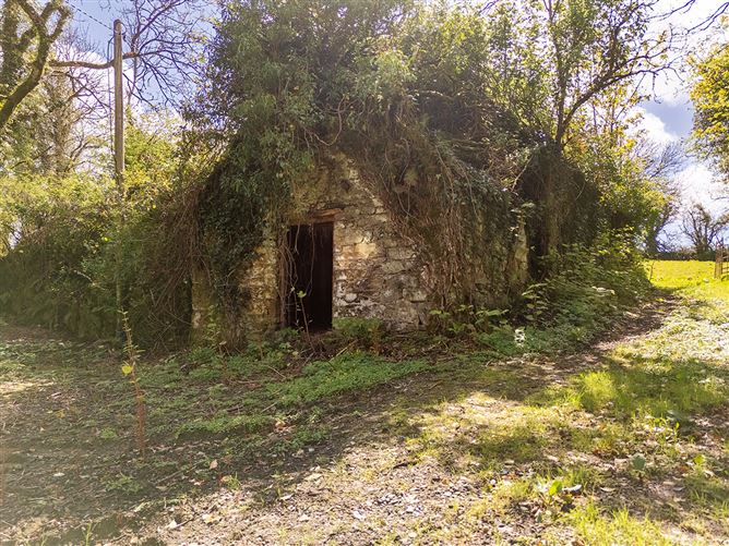 Circa 4 Acres, Aglish, Waterford