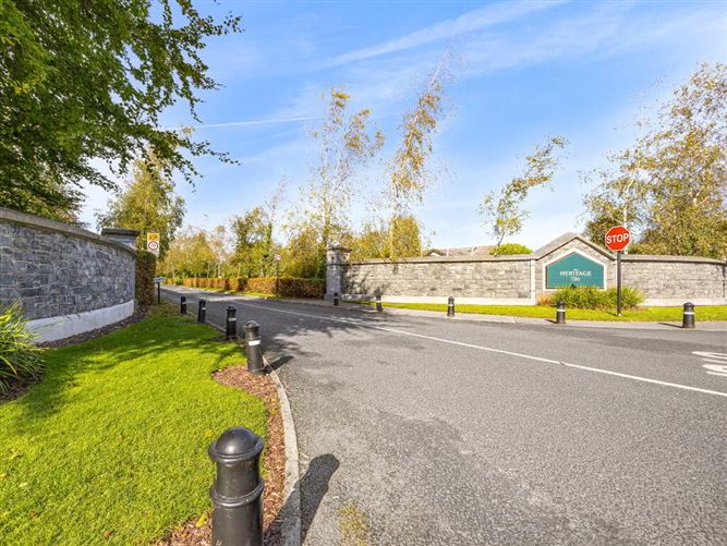 The Thatch, Traditional Bar & Restaurant, Killenard, Laois