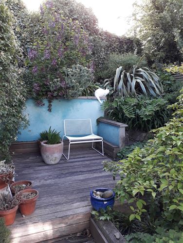 43 Reuben Street, Rialto, Dublin 8