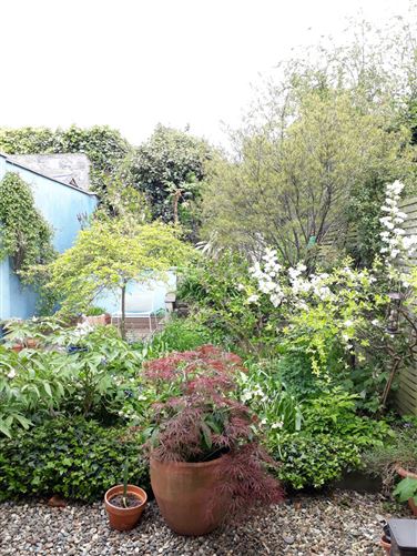43 Reuben Street, Rialto, Dublin 8