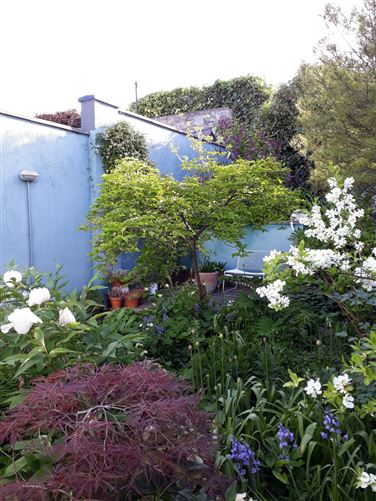 43 Reuben Street, Rialto, Dublin 8
