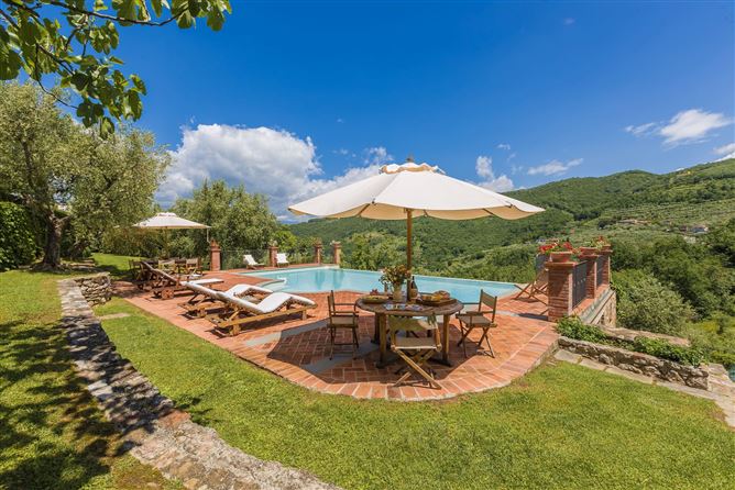 Tuscan Mahogany,Monsummano Terme,Tuscany,Italy