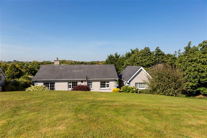 Ballinadrisogue, Blackwater, Wexford