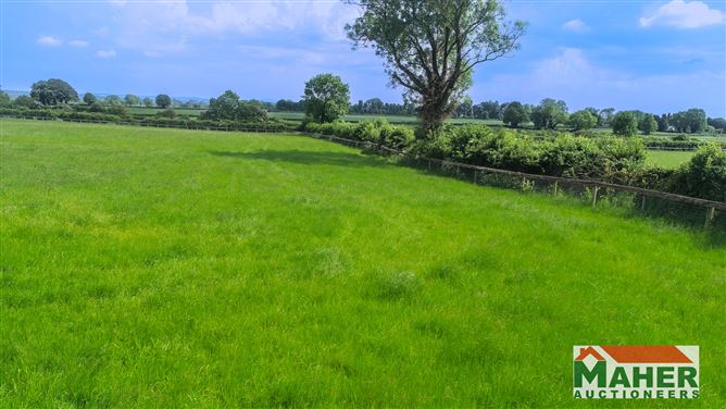Photo 37 of 42 — Clonoulty House, Clonoulty Churchquarter, Clonoulty, Tipperary