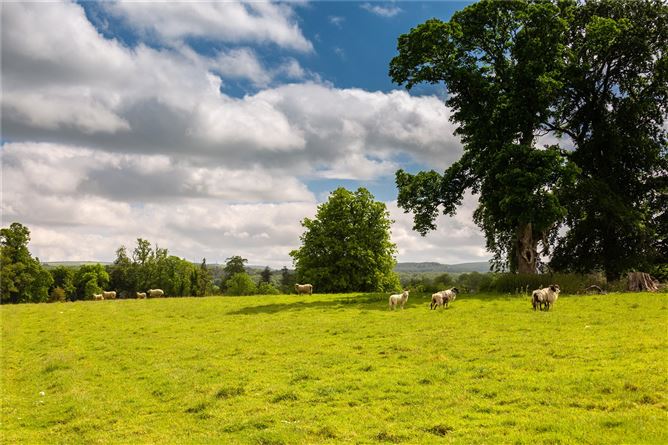 Kilmurry House, Thomastown, Co. Kilkenny