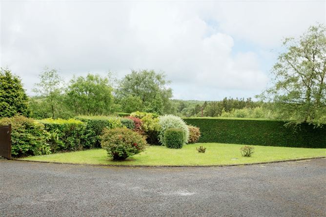 Tullyvealnaslee, Oughterard, Galway