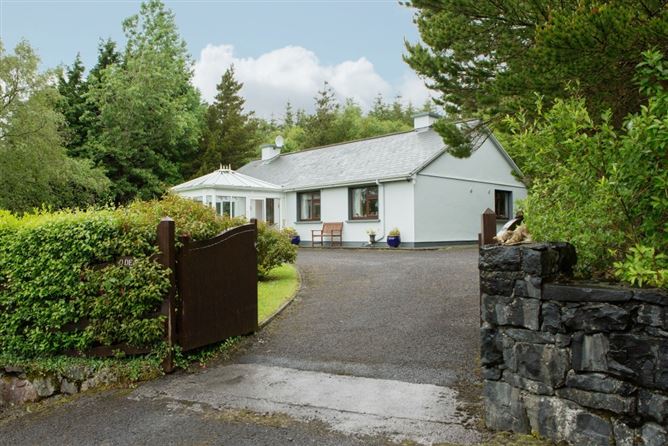Tullyvealnaslee, Oughterard, Galway