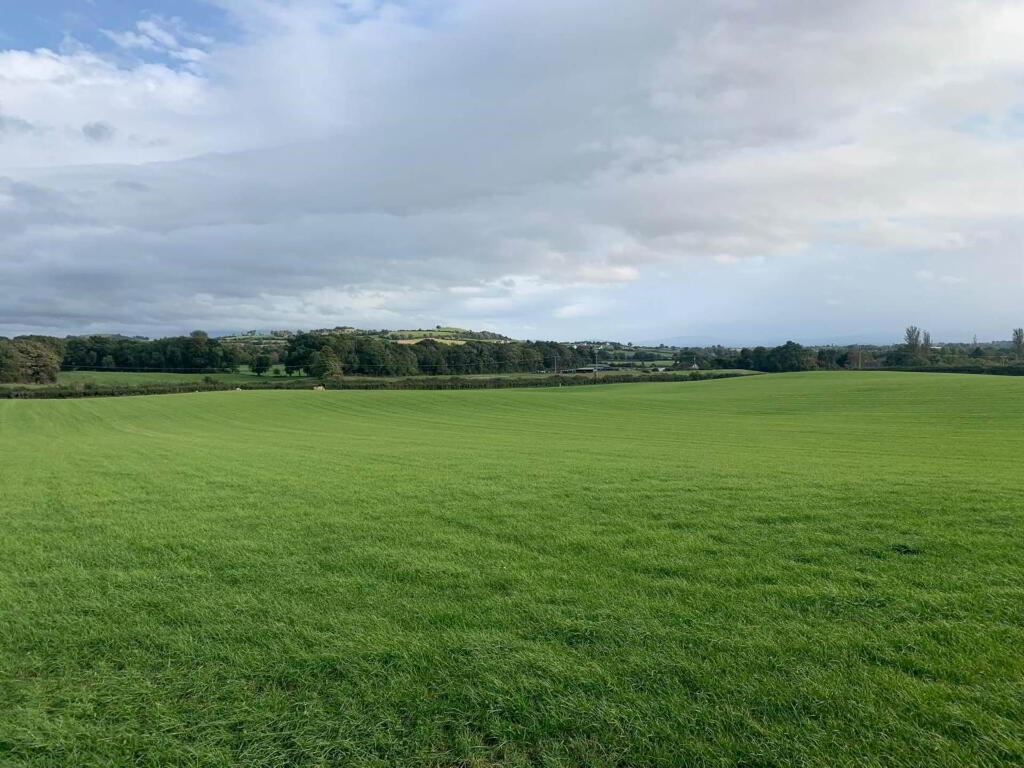 Of New Grass For 1st Cut Cut, Urra, Ballycommon, Co. Tipperary, 17 Acres
