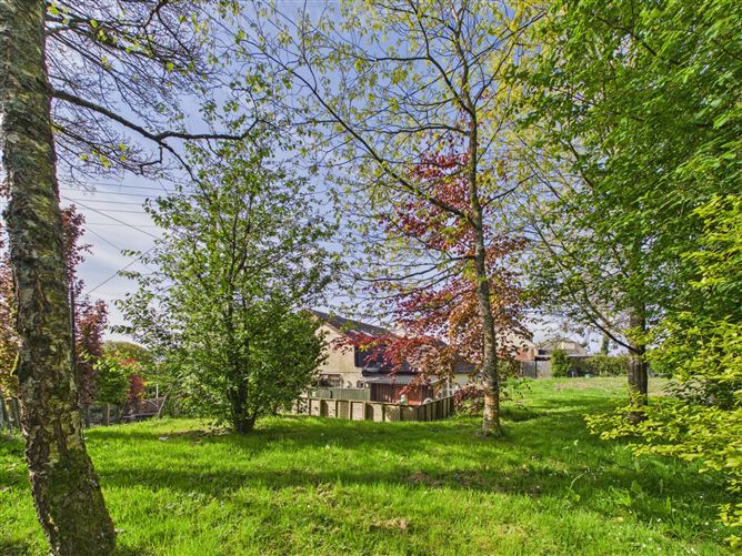 Photo 38 of 41 — Ranchers Return, Coon West, Kilkenny, Kilkenny