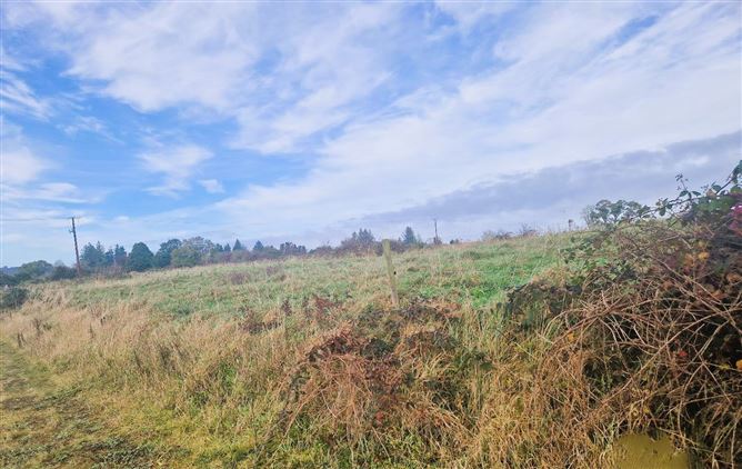 Lands Ballyhanea, Virginia, Cavan