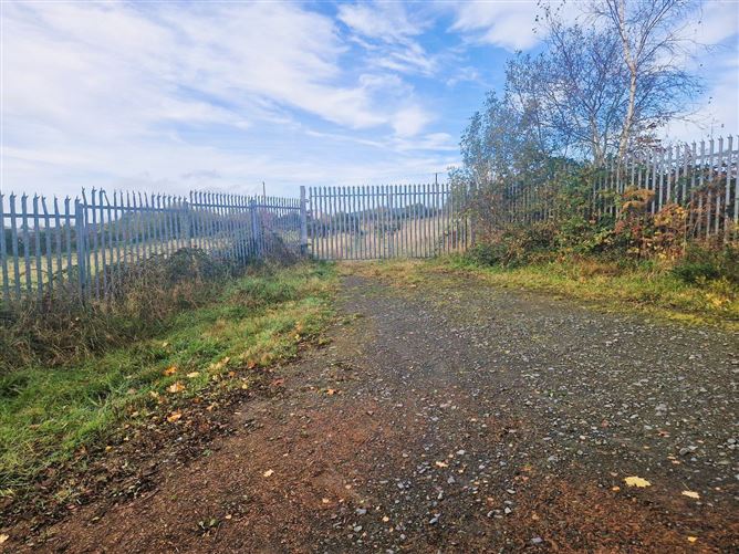Lands Ballyhanea, Virginia, Cavan