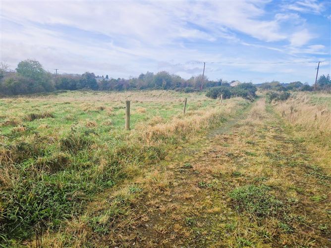 Lands Ballyhanea, Virginia, Cavan