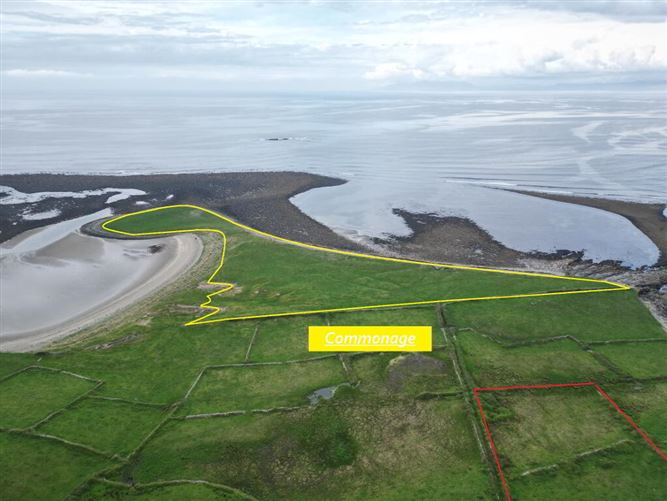 Dernish Island, Grange, Sligo