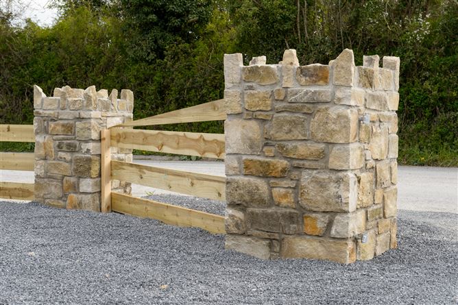 Bog Road, Portarlington, Laois