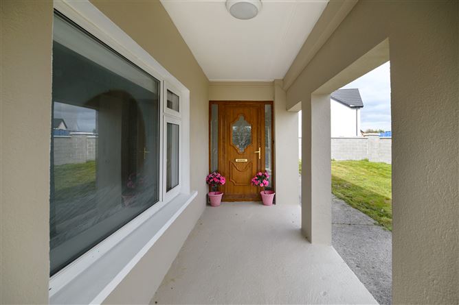 Bog Road, Portarlington, Laois