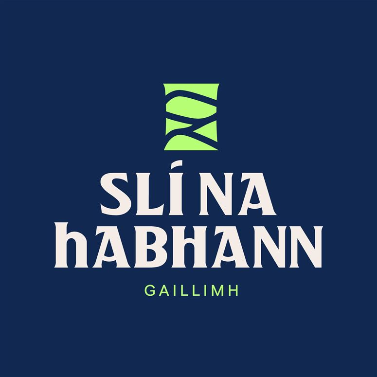 Ballymoneen, Rahoon, Galway