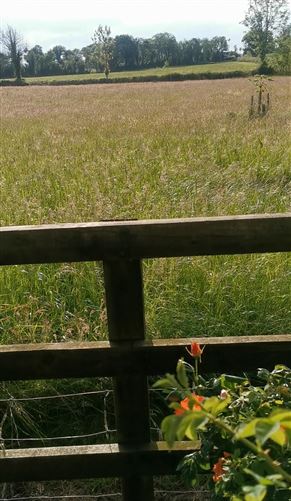 Photo 28 of 54 — Castlegrogan, Errill, Laois