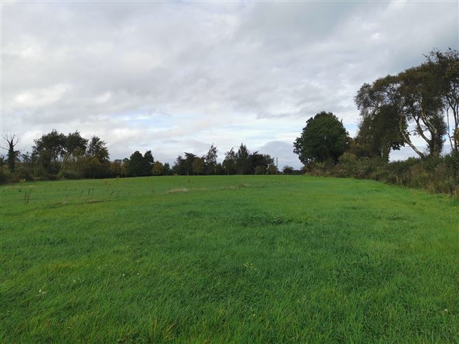 Photo 21 of 54 — Castlegrogan, Errill, Laois