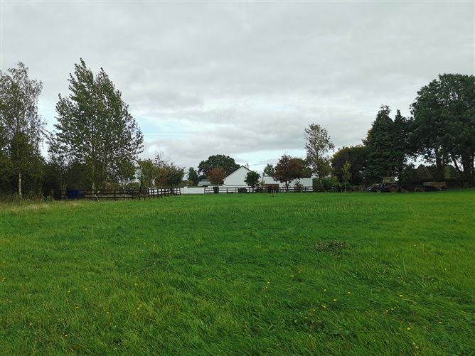 Photo 16 of 54 — Castlegrogan, Errill, Laois