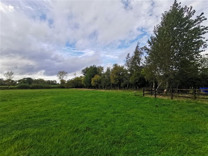 Photo 24 of 54 — Castlegrogan, Errill, Laois