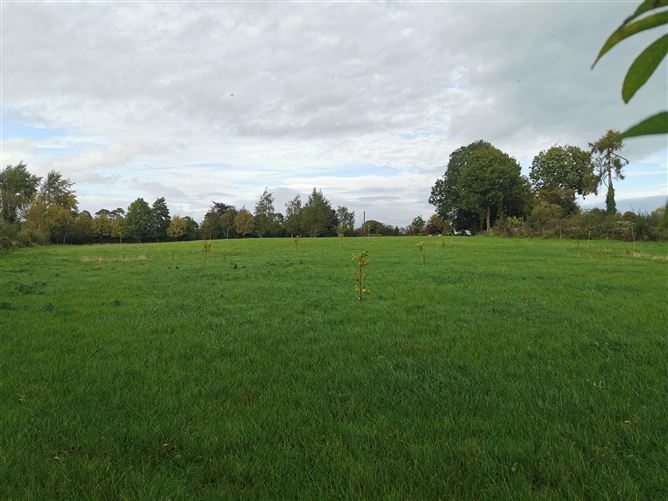 Photo 26 of 54 — Castlegrogan, Errill, Laois