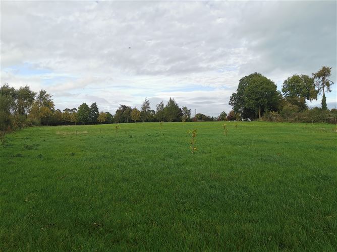 Photo 20 of 54 — Castlegrogan, Errill, Laois