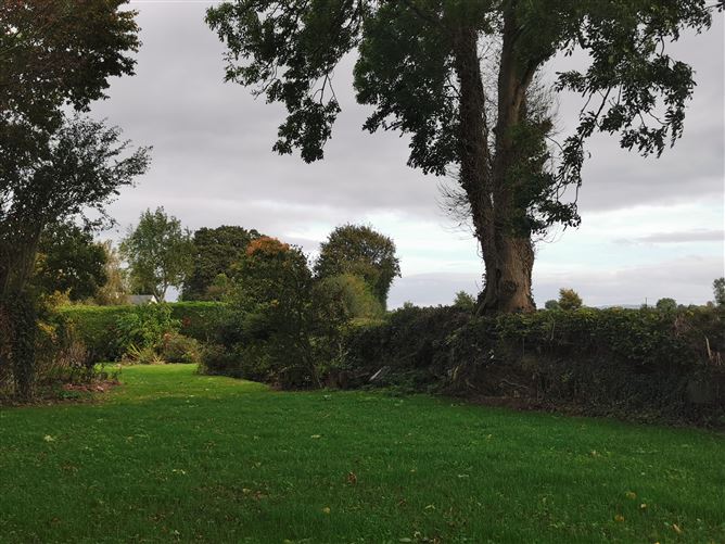 Photo 23 of 54 — Castlegrogan, Errill, Laois